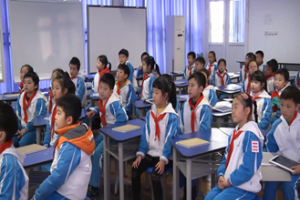 《小鸡的一家》——泡桐树小学西区