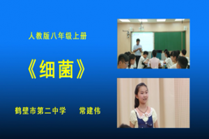 《细菌》——河南鹤壁二中