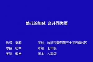 整式的加减 合并同类项