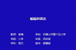 蝙蝠和雷达