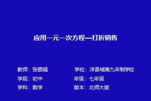 应用一元一次方程—打折销售