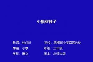 小猫穿鞋子