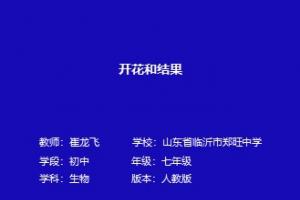 开花和结果