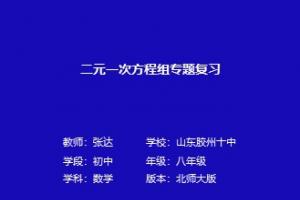 二元一次方程组专题复习